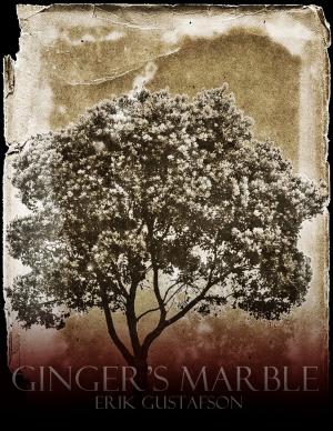 bigCover of the book Ginger's Marble by 