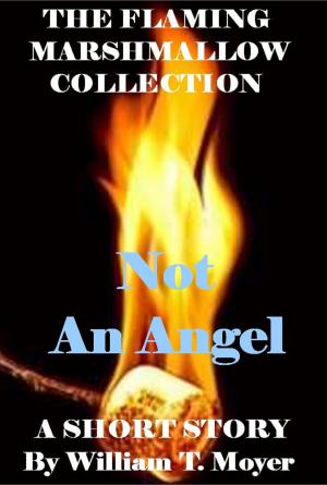 Book cover of Not An Angel