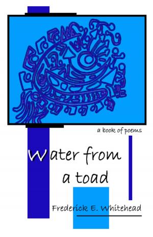 Cover of the book Water from a toad by sara salem