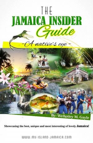 Cover of the book The Jamaica Insider Guide by James Gould