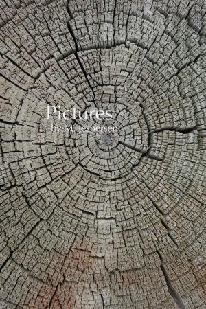 Book cover of Pictures"