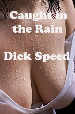 Book cover of Caught in the Rain