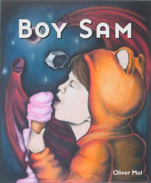 Book cover of Boy Sam: Fires in Panama