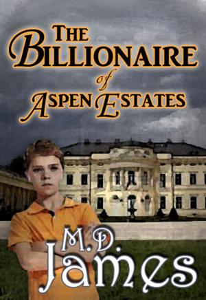 Book cover of The Billionaire of Aspen Estates (The Concord Series #1)