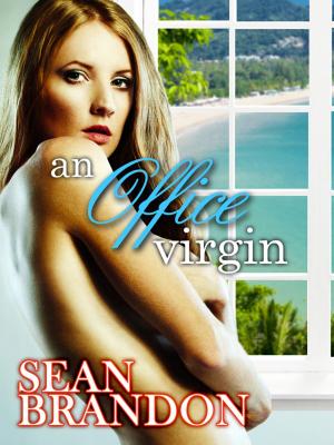 Book cover of An Office Virgin