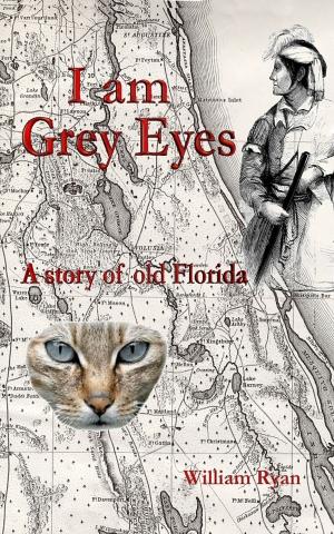 Cover of the book I am Grey Eyes a story of old Florida by Aurora Fairfax