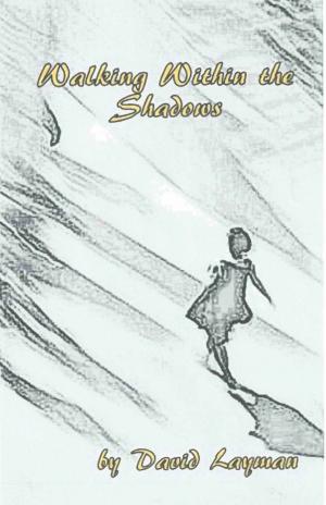 Cover of the book Walking Within The Shadows by Rachel Tremblay