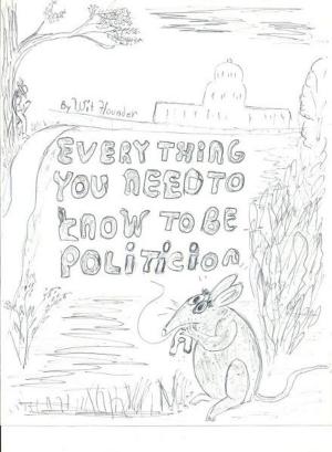 Cover of the book Everything You Need to Know to be a Politician by Christopher D Schmitz