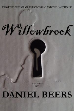 Cover of the book Willowbrook by A.M. Seacar