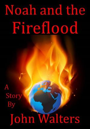 Cover of the book Noah and the Fireflood by Adetokunbo Abiola