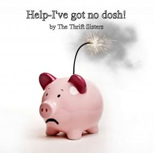 Cover of the book Help-I've got no dosh! by Peter Lightbown, Cecilia Croaker