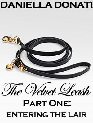 Cover of the book The Velvet Leash -Part One: Entering The Lair by Karen Woods