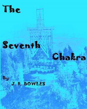 Cover of the book The Seventh Chakra by Abra Ebner