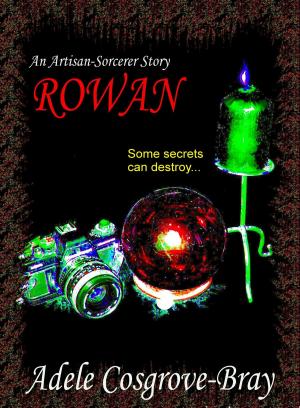 Cover of the book Rowan: An Artisan-Sorcerer Story by Robert Cottom