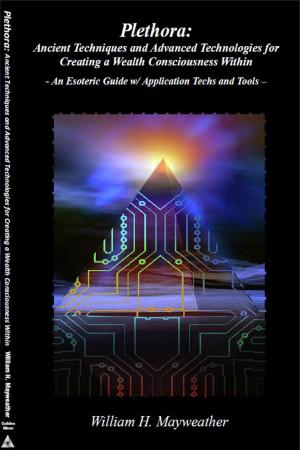 Cover of Plethora: Ancient Techniques and Advanced Technologies for Creating a Wealth Consciousness Within - An Esoteric Guide w/ Application Techs and Tools -