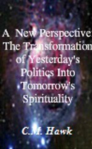 Cover of the book A New Perspective: The Transformation From Yesterday's Politics Into Tomorrow's Spirituality by Donald McCown, Marc S. Micozzi, M.D., Ph.D.