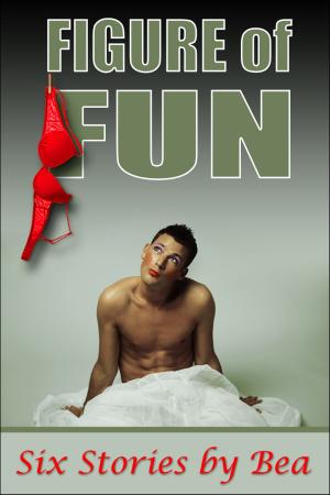 Cover of the book Figure of Fun by Goddess Rachel
