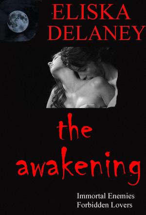 Cover of the book The Awakening by R.M. Meretrix