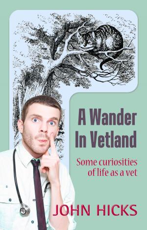 Book cover of A Wander in Vetland
