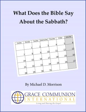 Cover of the book What Does the Bible Say About the Sabbath? by Paul Kroll