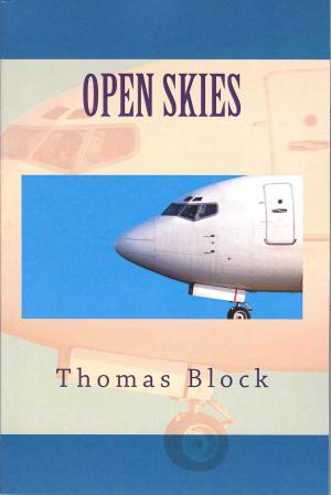 Cover of the book Open Skies by Chris Parker