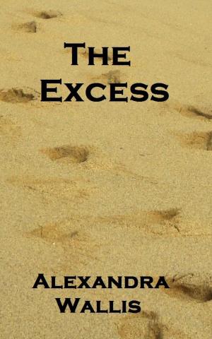 bigCover of the book The Excess by 