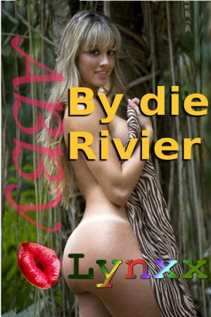 Cover of the book By die Rivier by Brantwijn Serrah