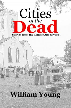 Cover of the book Cities of the Dead: Stories from the Zombie Apocalypse by Ruth A Carpenter