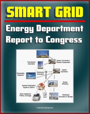 Cover of 2012 Smart Grid System Report to Congress: Smart Electric Meters, Renewables Integration, Electric Cars and Vehicles, Transmission Automation, Grants and Programs, Cyber Security, Energy Efficiency