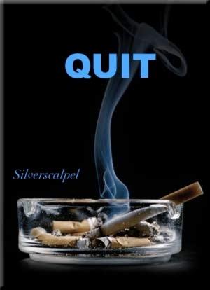 Cover of the book Quit by Amber Jerome~Norrgard
