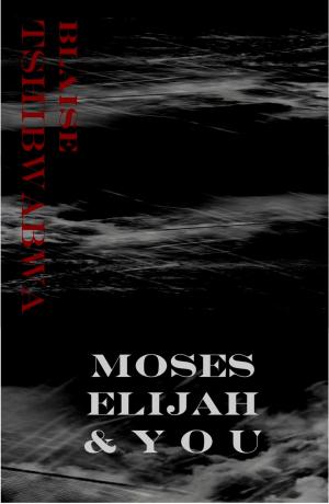 Cover of the book Moses, Elijah and You by Philipp Keel