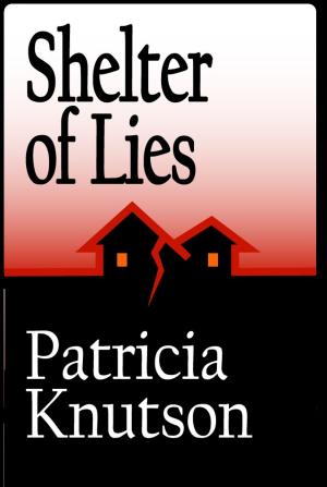 Cover of the book Shelter of Lies by Tony McManus