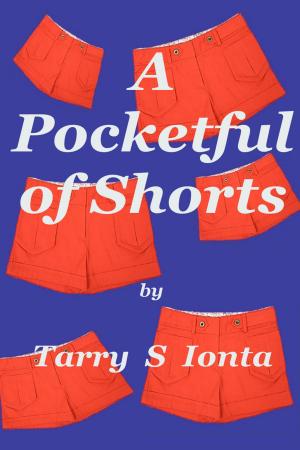 Book cover of A Pocketful of Shorts