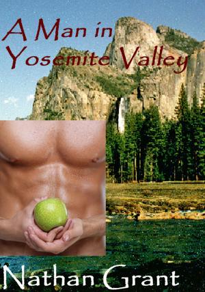 Cover of the book A Man in Yosemite Valley by Gérard Vigner
