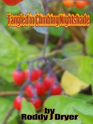 Cover of the book Tangled in Climbing Nightshade by Breeona Elliott