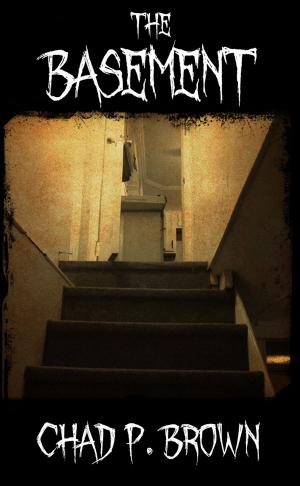 Book cover of The Basement