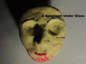 bigCover of the book A Specimen Under Glass by 