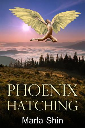 Book cover of Phoenix Hatching