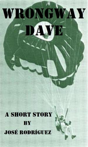Cover of the book Wrongway Dave by R Rodriguez