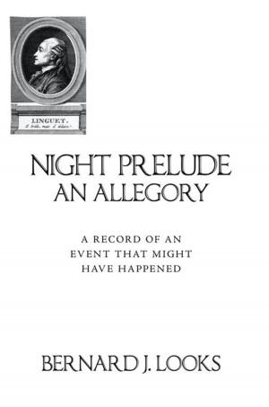 bigCover of the book Night Prelude - an Allegory by 