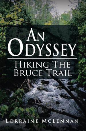 Cover of the book An Odyssey by Lucia Adams