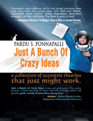 Cover of the book Just a Bunch of Crazy Ideas by Donna Bender Hood