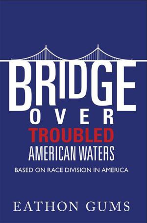 Cover of the book Bridge over Troubled American Waters by Dale Stewart