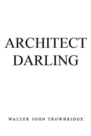 Cover of the book Architect Darling by Ugwunwa Ajike Of Abia State