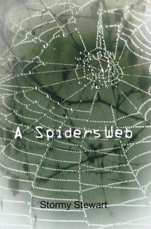 Cover of the book A Spiders Web by Karen Lee Oliver