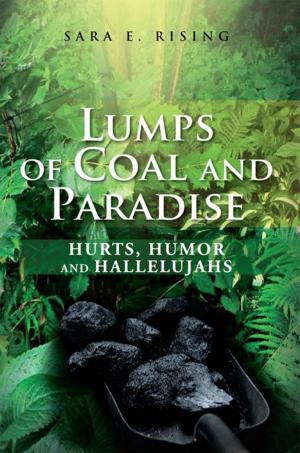 Book cover of Lumps of Coal and Paradise