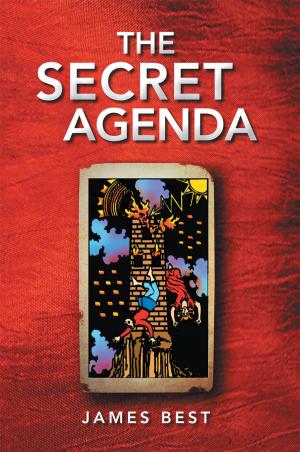 Cover of the book The Secret Agenda by Jane Lomas