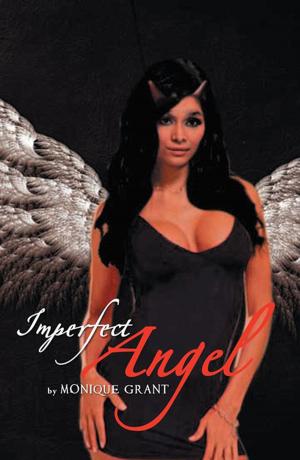 Cover of the book Imperfect Angel by Roy Beutel