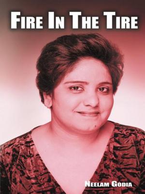 Cover of the book Fire in the Tire by Naeriyah Jo An B Daniel Dyer