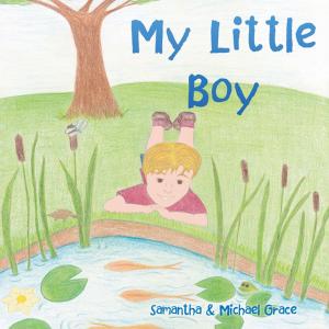 bigCover of the book My Little Boy by 